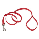 Leash - 1"Single Ply x 6', Nylon